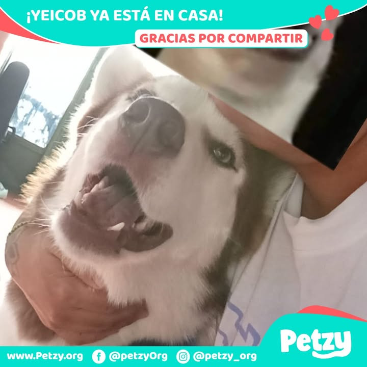 Yeicob