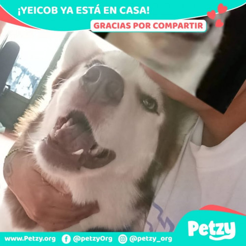 Yeicob