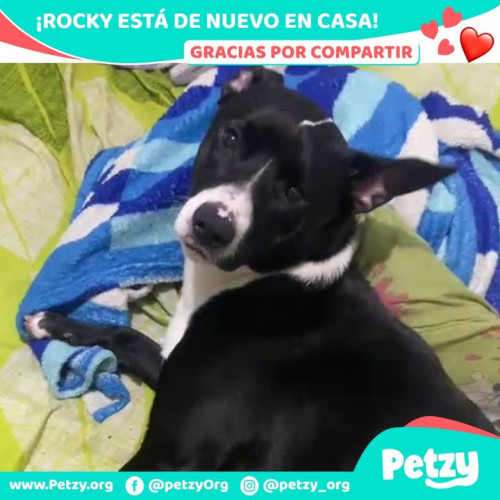 Rocky