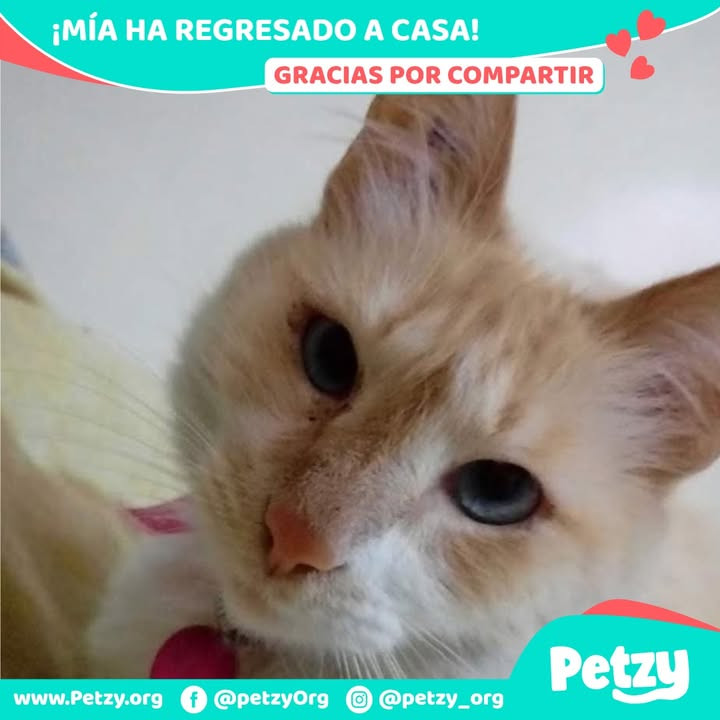 Mía