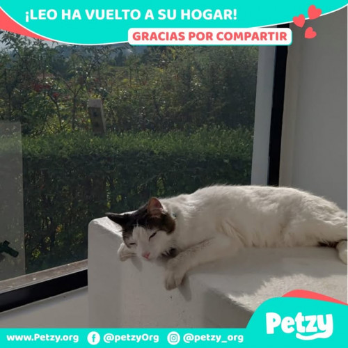 Foto de mascota Leo