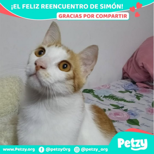 Foto de mascota Simón