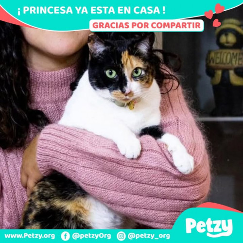 Foto de mascota Princesa