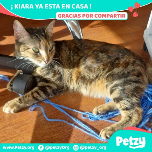 Foto de mascota Kiara