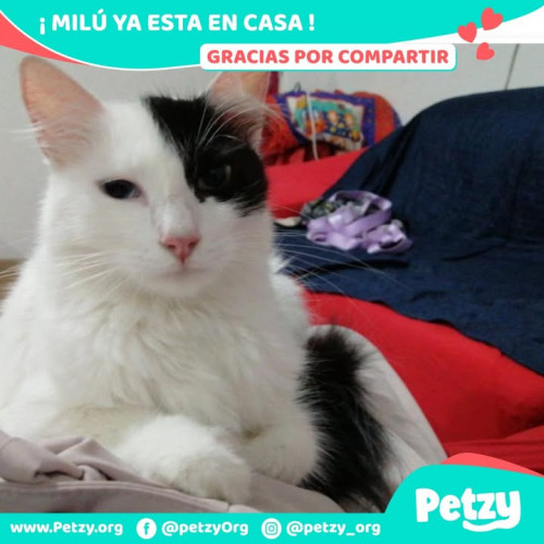 Foto del reencuentro de Milú