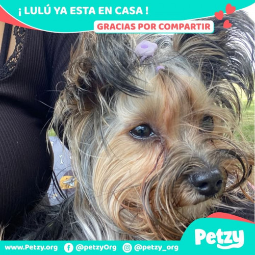 Foto del reencuentro de Lulú