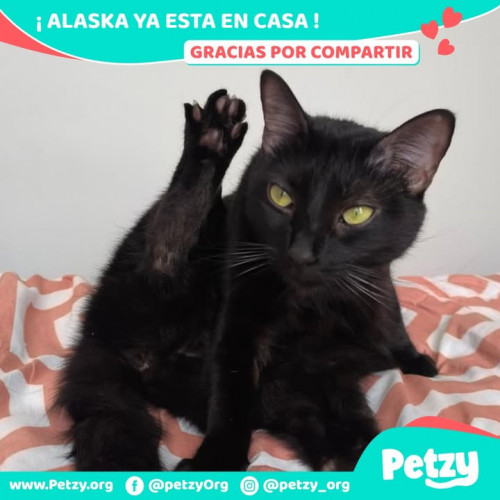Foto del reencuentro de Alaska