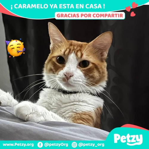 Foto del reencuentro de Caramelo