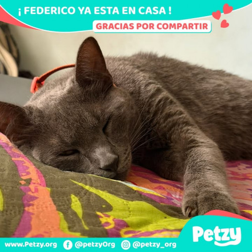 Foto de mascota Federico