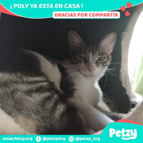 Foto del reencuentro de Poly