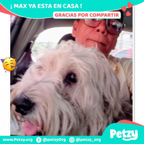 Foto de mascota Max