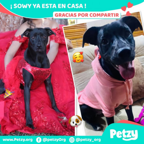 Foto del reencuentro de Sowy