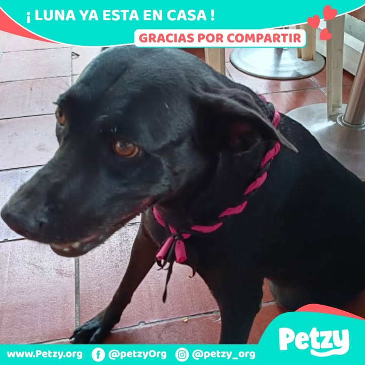 Luna
