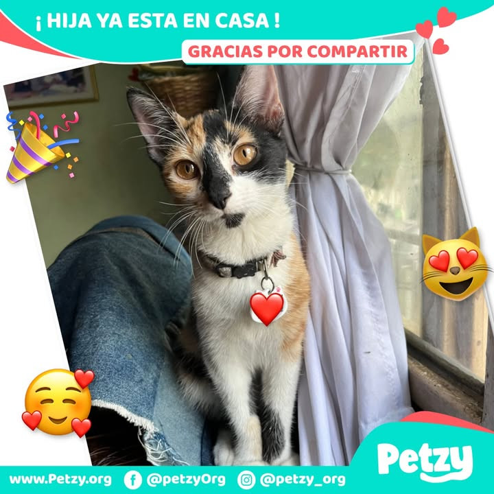 Hija