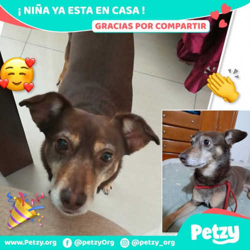 Niña