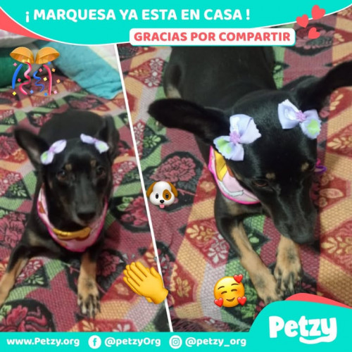 Marquesa