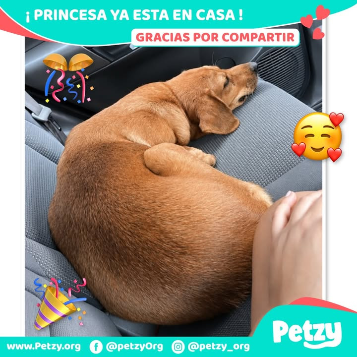 Princesa