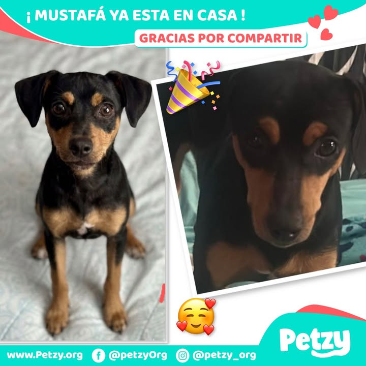 Mustafá