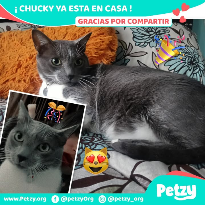 Chucky