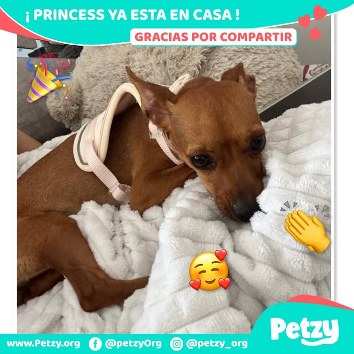 Princess