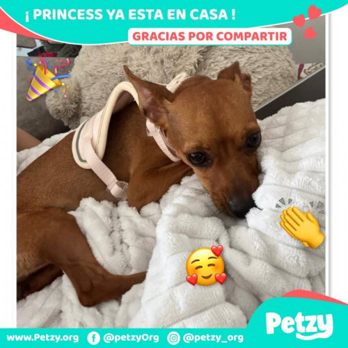 Princess