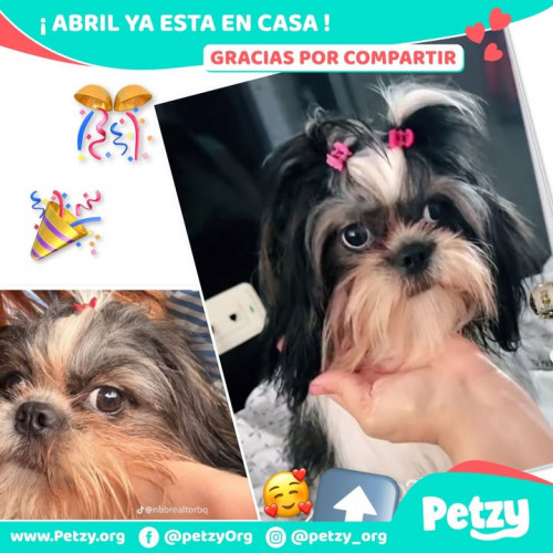 Abril