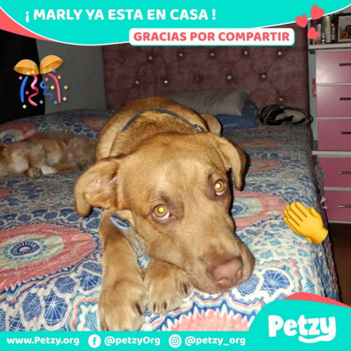 Marly