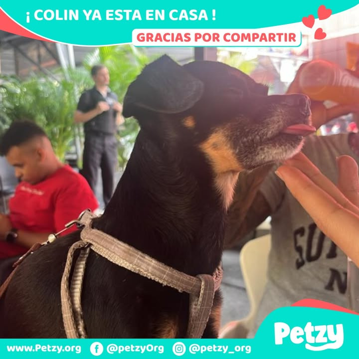 Colin