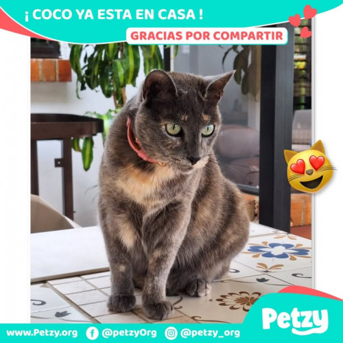 Coco