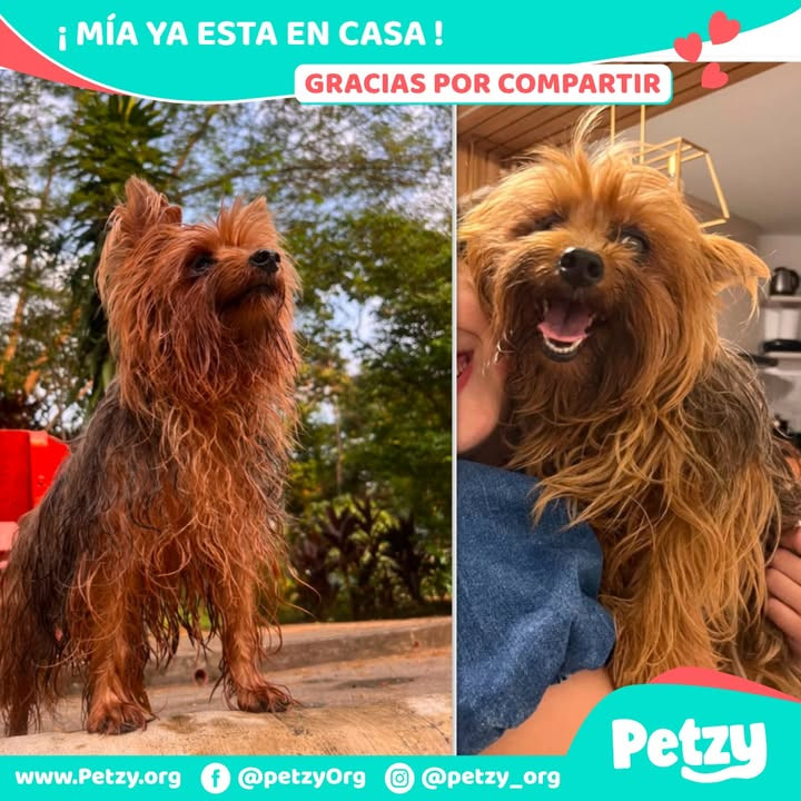 Mía