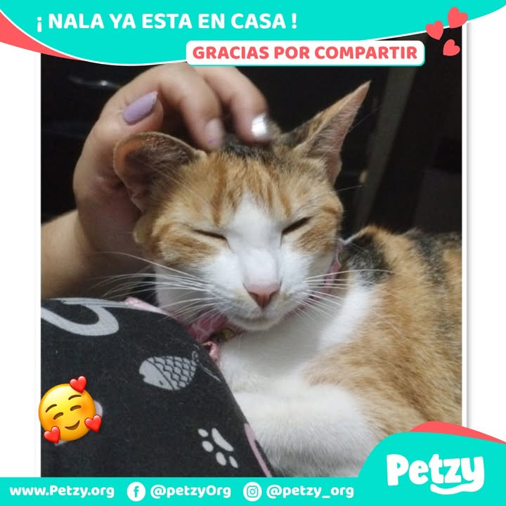 Nala