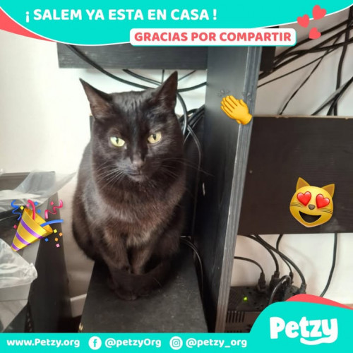 Salem