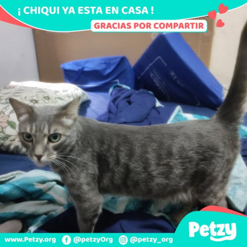 Chiqui