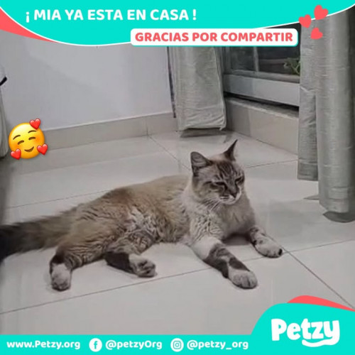 Mia