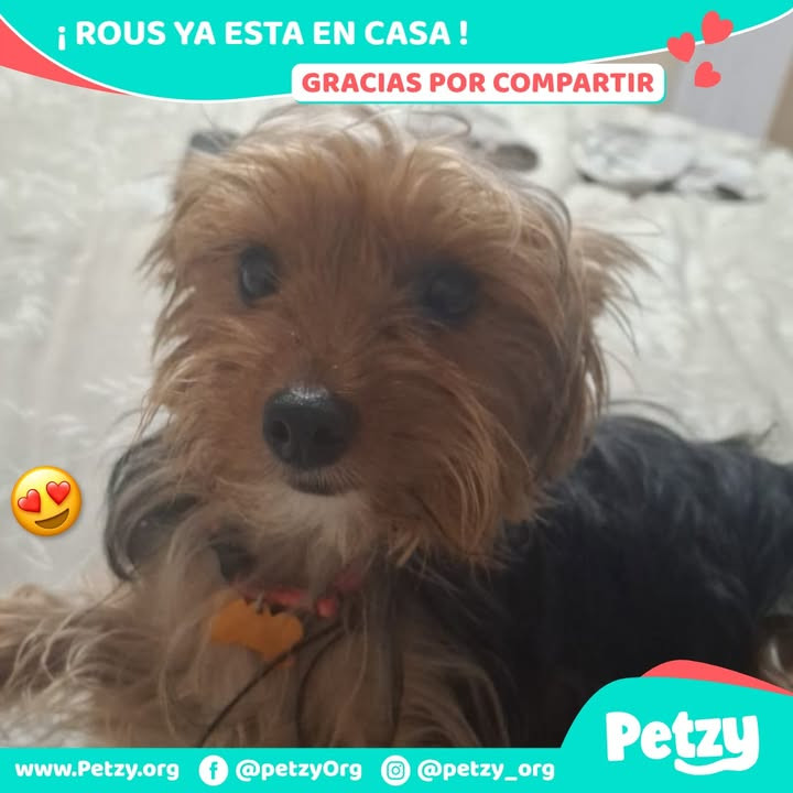 Rous