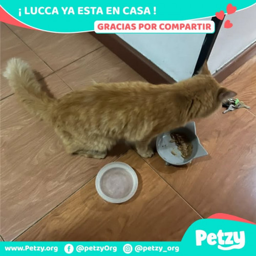 Lucca