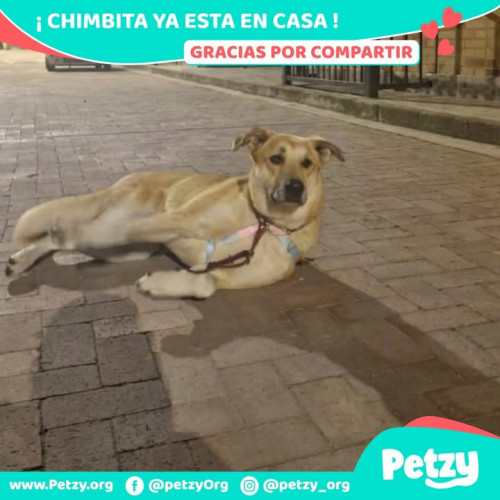 Chimbita