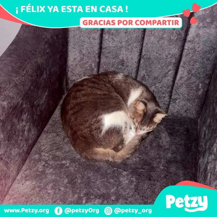 Félix