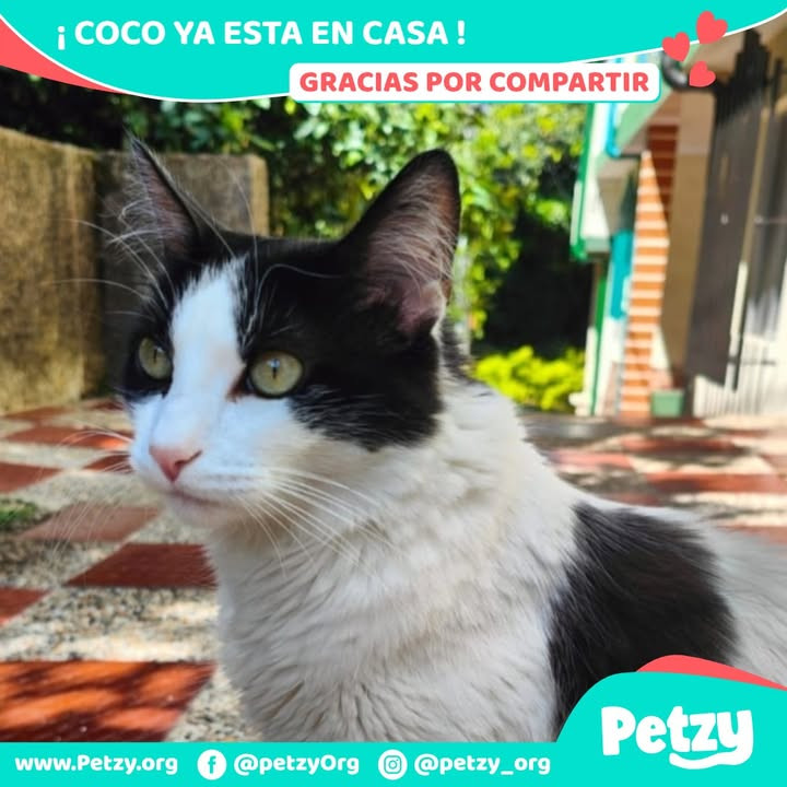 Coco