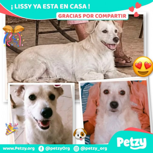 Lissy