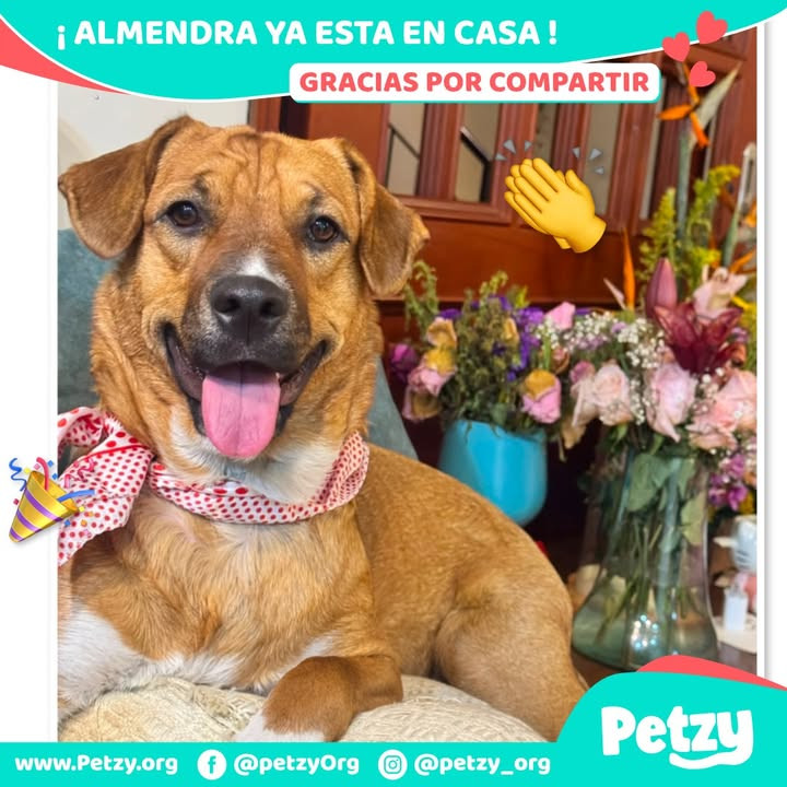 Almendra
