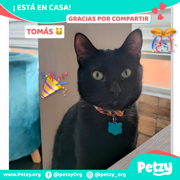 Tomás