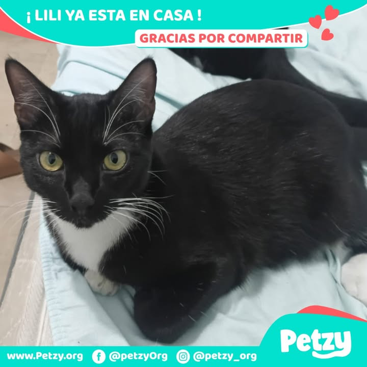 Lili