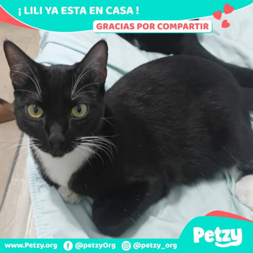 Lili