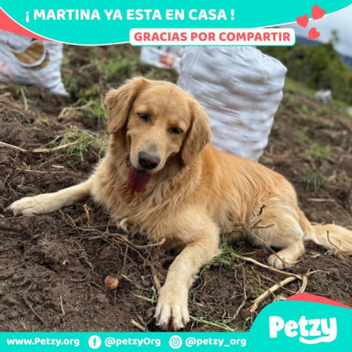 Martina