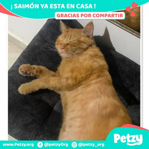 Saimón