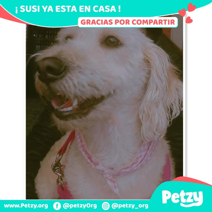 Susi
