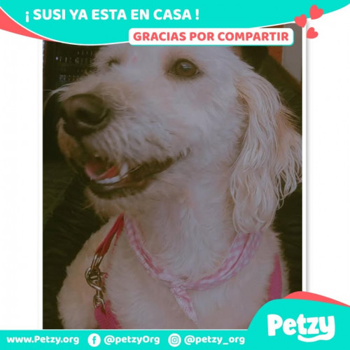 Susi