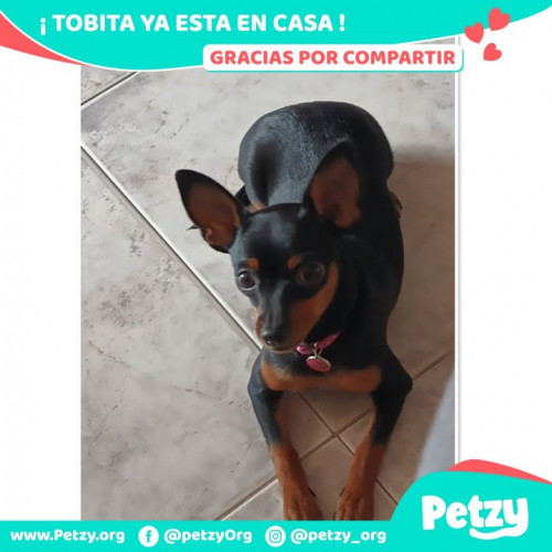 Tobita