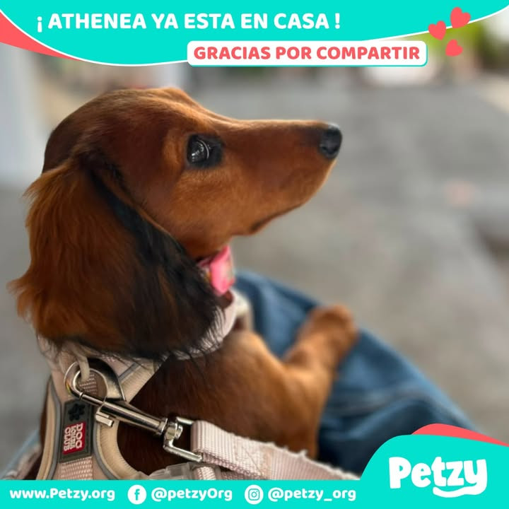 Athenea